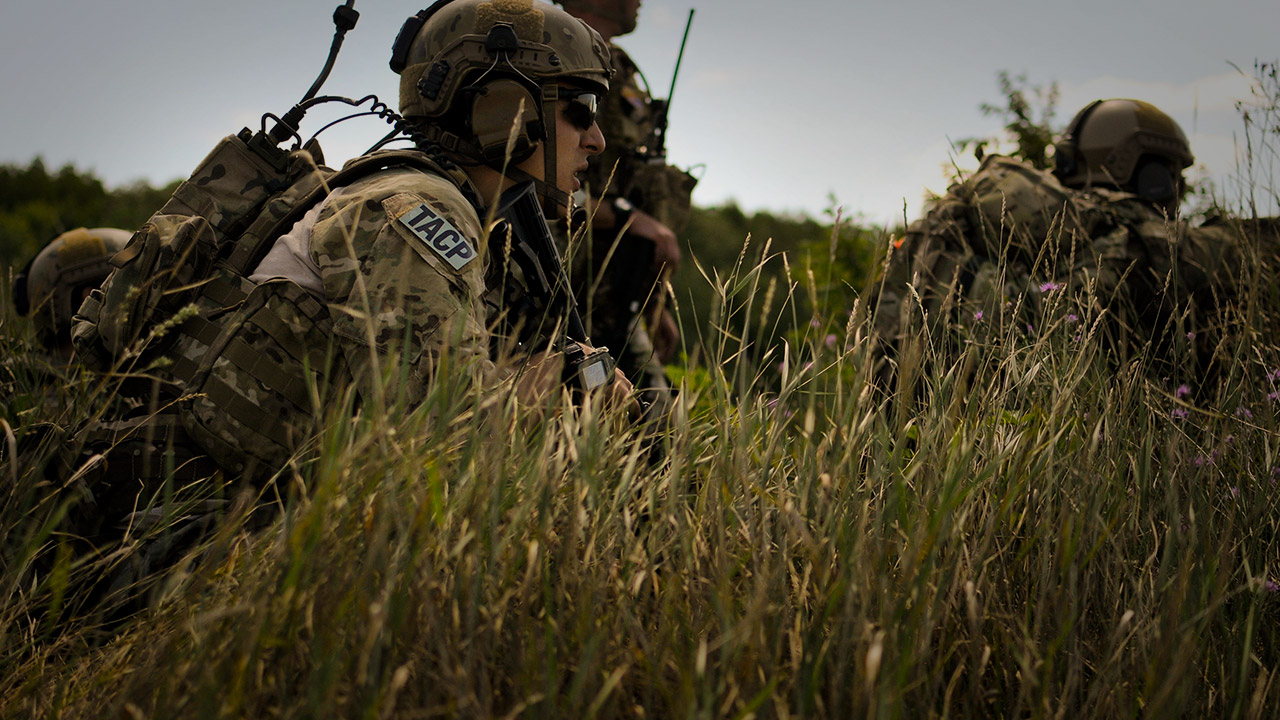 Tactical Air Control Party specialists in tall grass