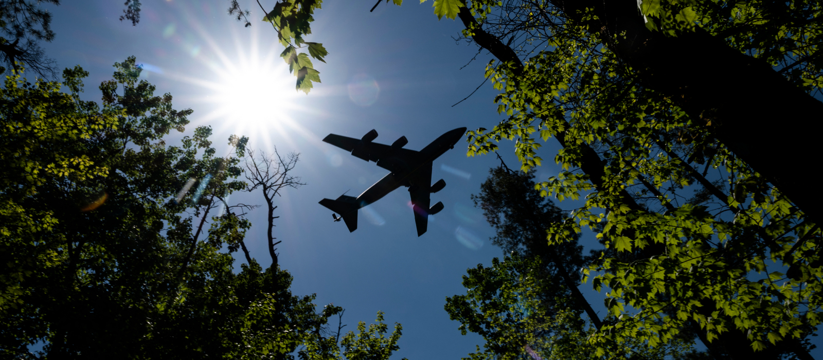 Air National Guard plane flying over trees