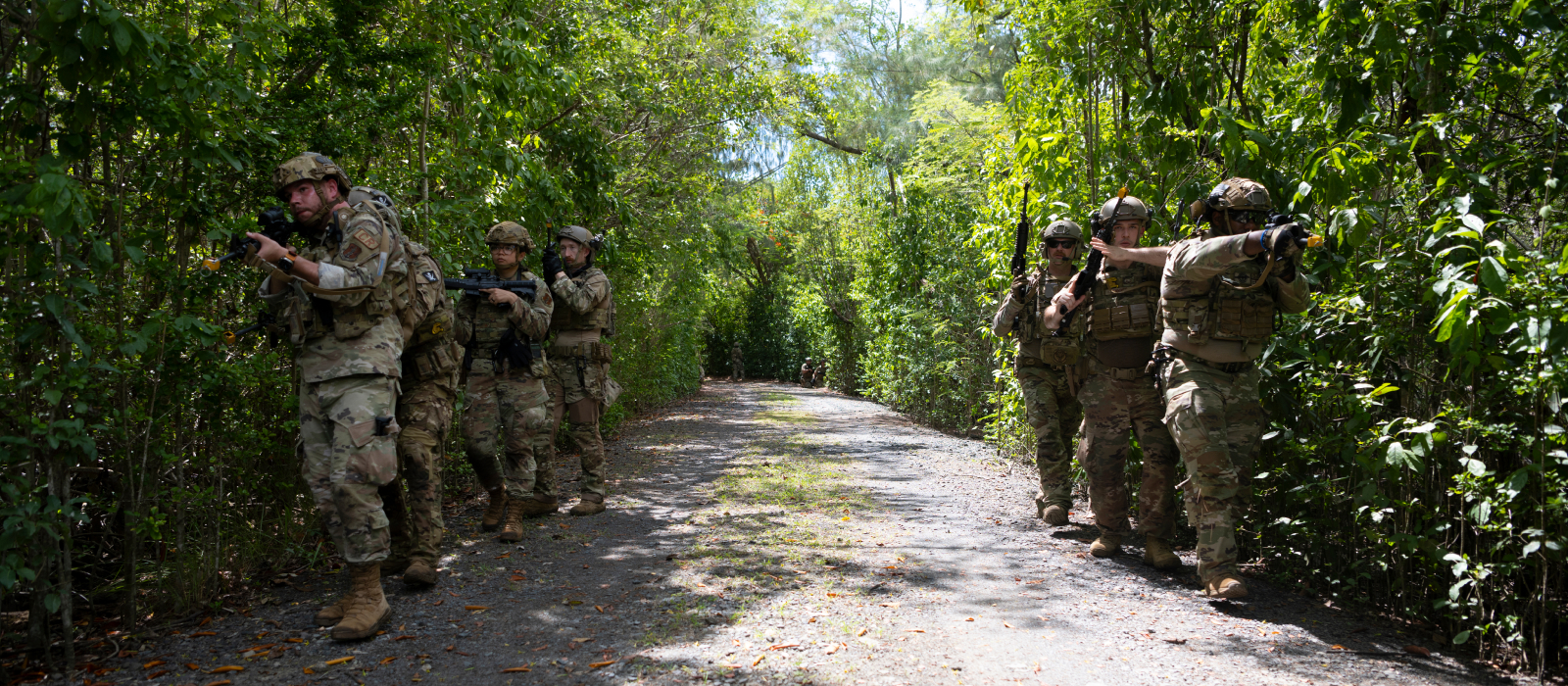 Air National Guardsmen in Puerto Rican jungle